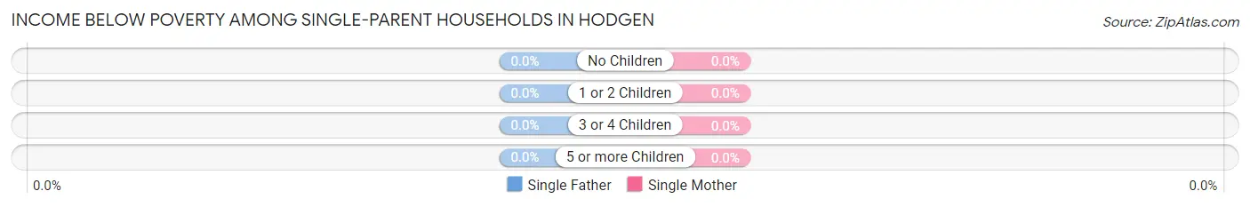 Income Below Poverty Among Single-Parent Households in Hodgen