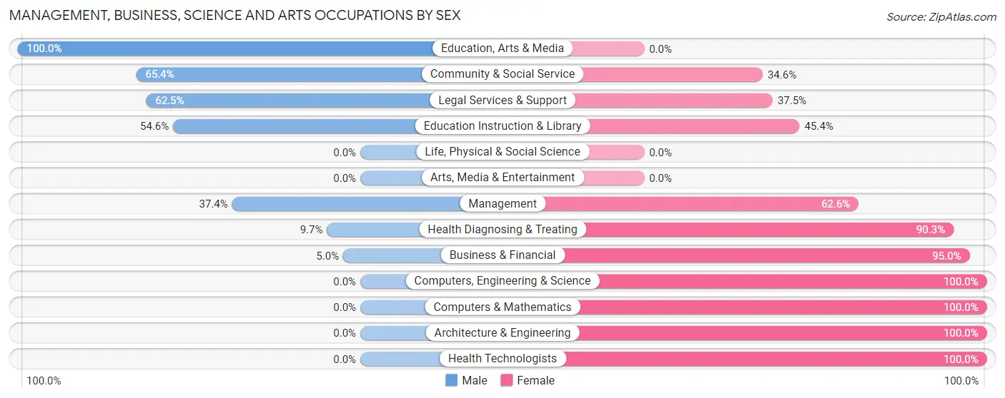 Management, Business, Science and Arts Occupations by Sex in Holdenville