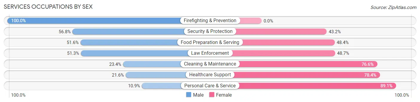 Services Occupations by Sex in Holdenville