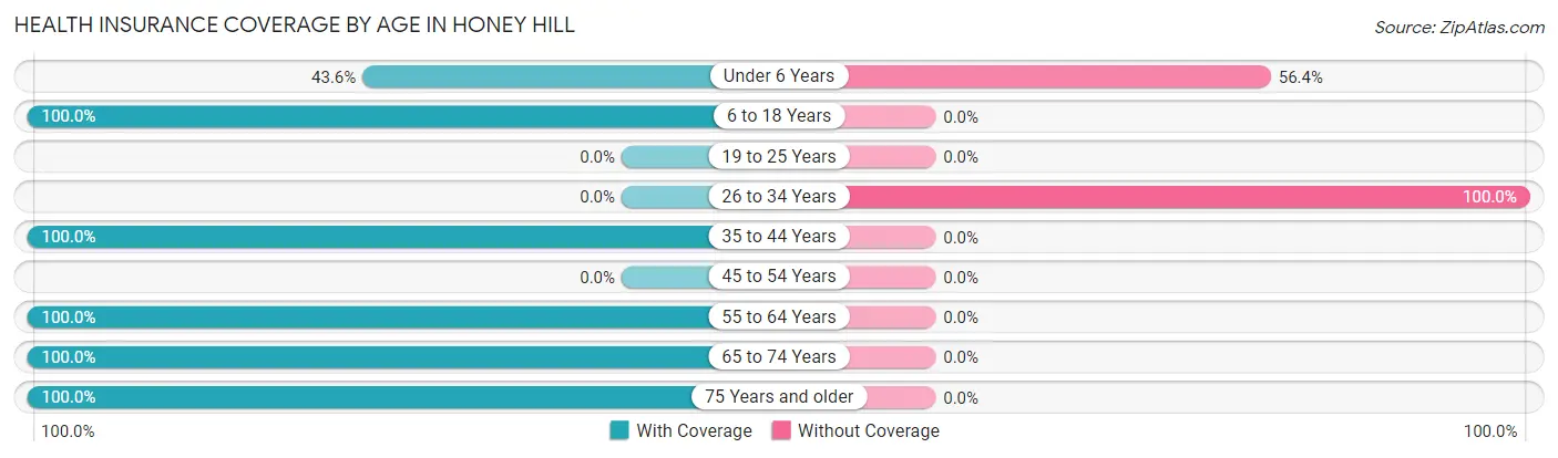Health Insurance Coverage by Age in Honey Hill