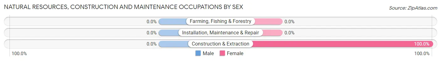 Natural Resources, Construction and Maintenance Occupations by Sex in Honey Hill