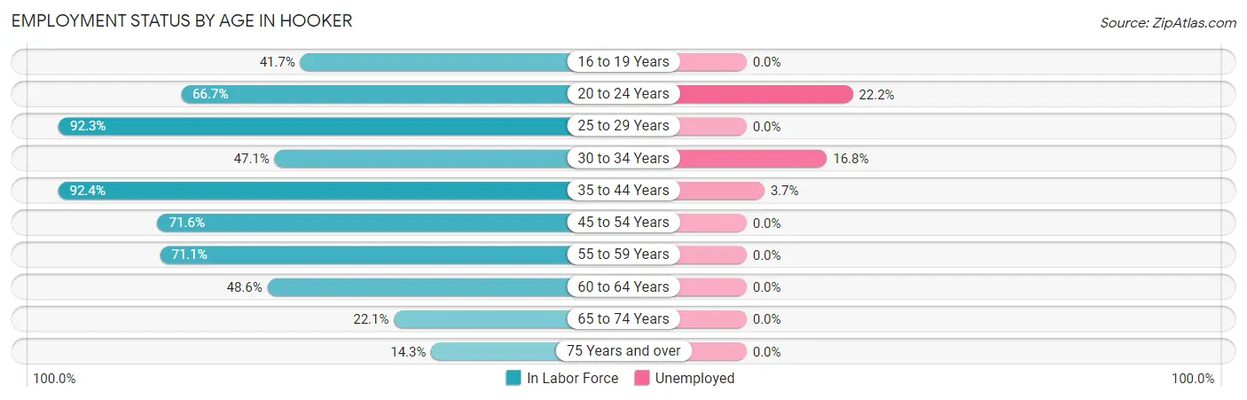 Employment Status by Age in Hooker