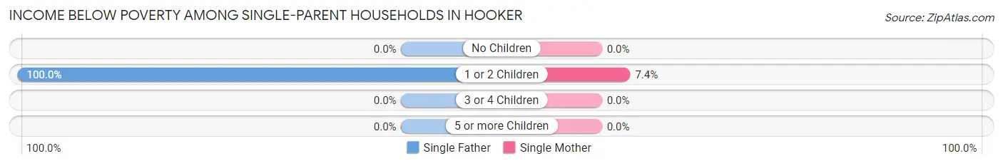 Income Below Poverty Among Single-Parent Households in Hooker