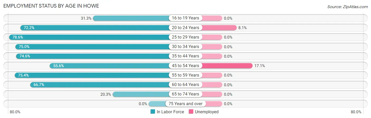 Employment Status by Age in Howe
