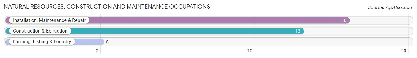 Natural Resources, Construction and Maintenance Occupations in Hulbert