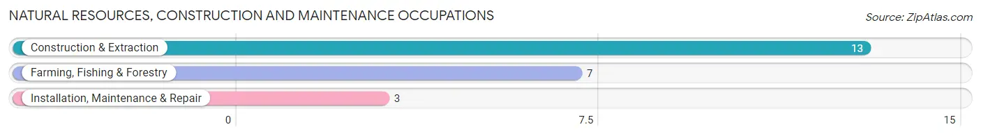 Natural Resources, Construction and Maintenance Occupations in Keota