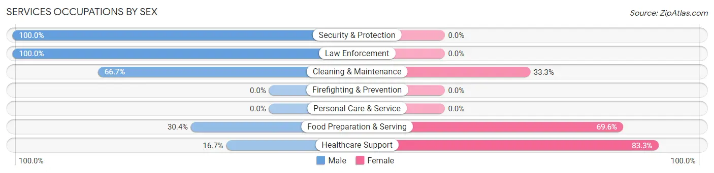 Services Occupations by Sex in Ketchum