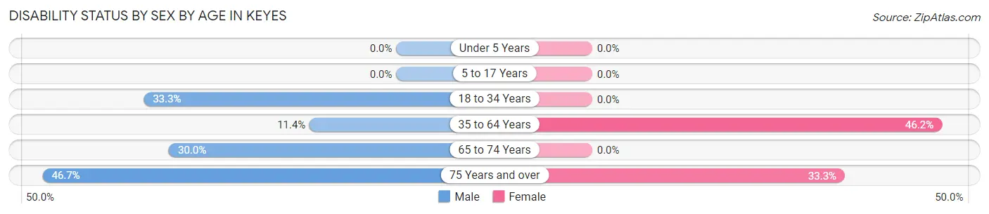 Disability Status by Sex by Age in Keyes