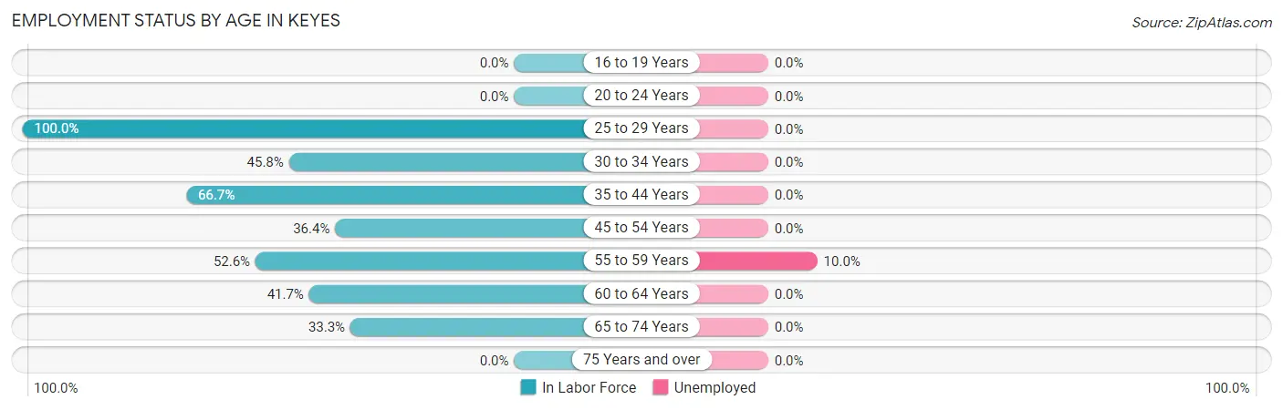 Employment Status by Age in Keyes