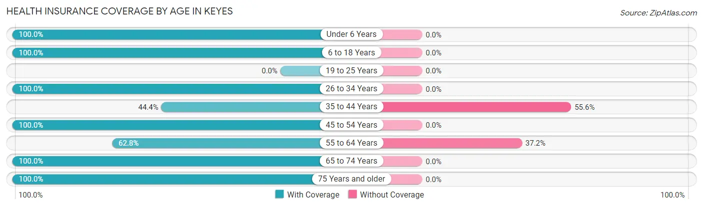 Health Insurance Coverage by Age in Keyes