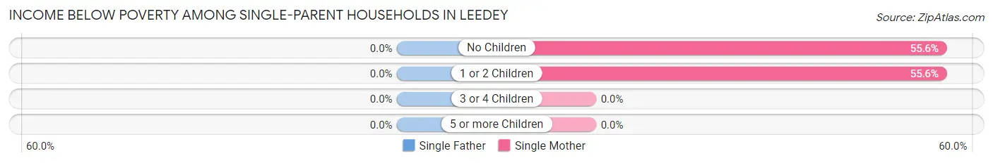 Income Below Poverty Among Single-Parent Households in Leedey