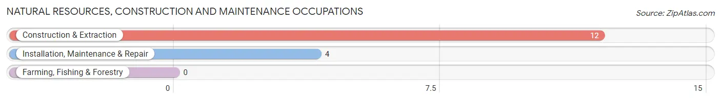 Natural Resources, Construction and Maintenance Occupations in Lehigh