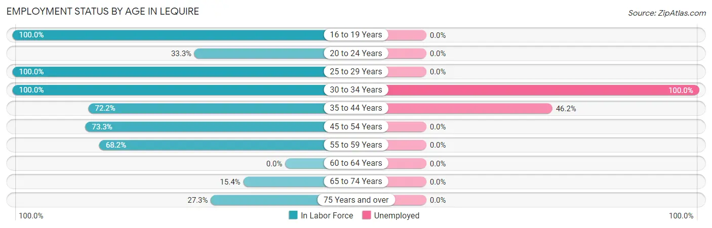 Employment Status by Age in Lequire