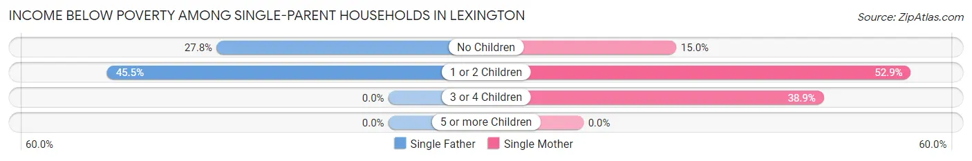 Income Below Poverty Among Single-Parent Households in Lexington