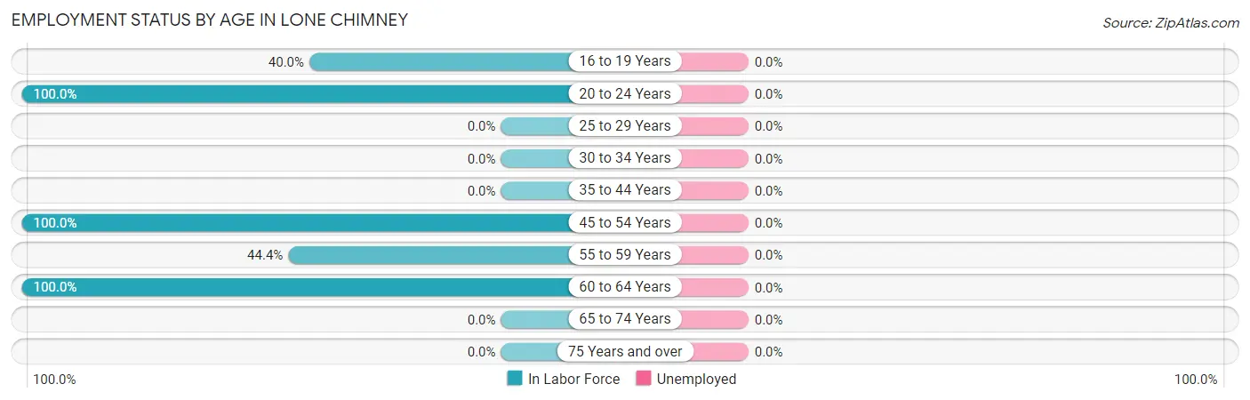Employment Status by Age in Lone Chimney