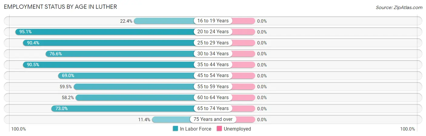 Employment Status by Age in Luther