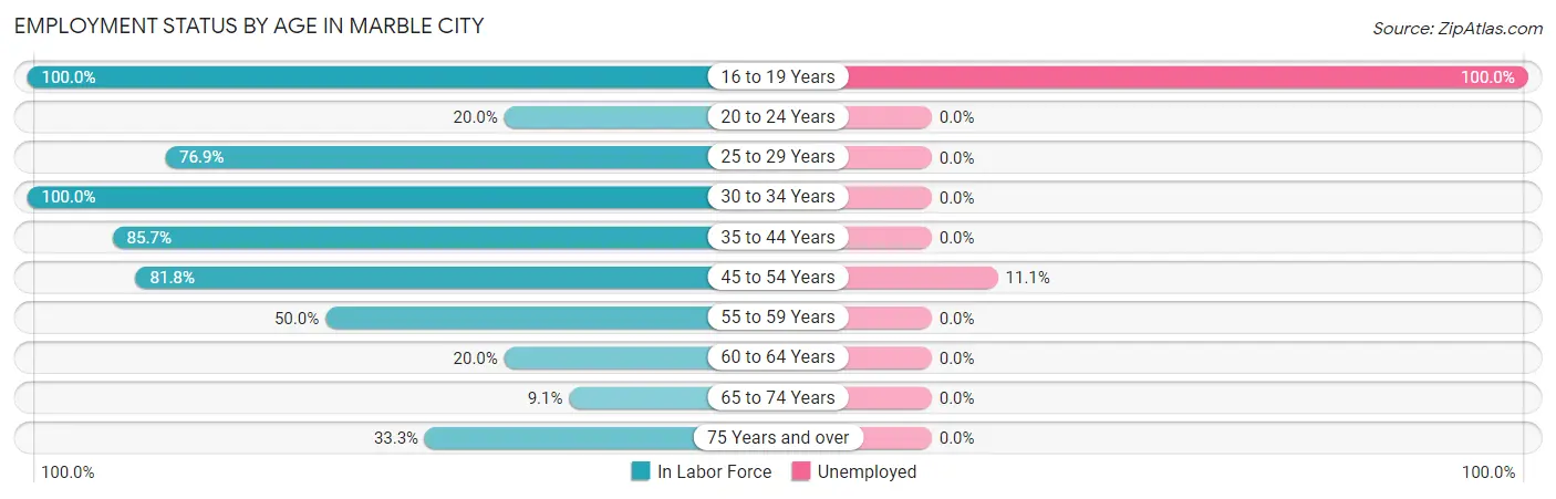 Employment Status by Age in Marble City