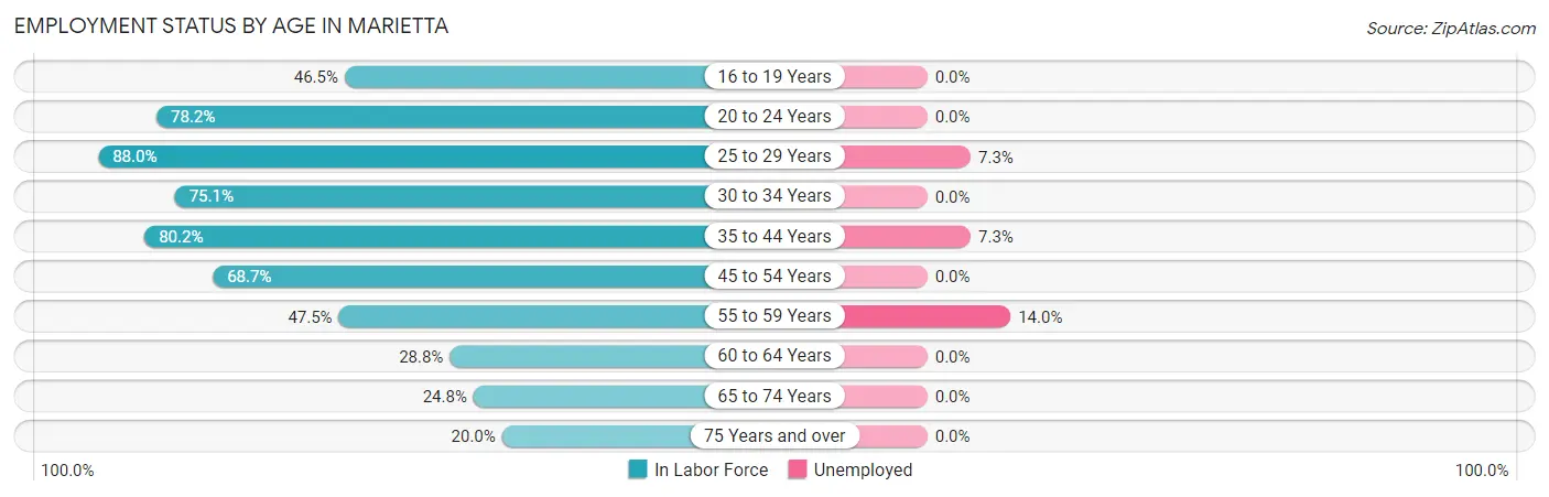 Employment Status by Age in Marietta