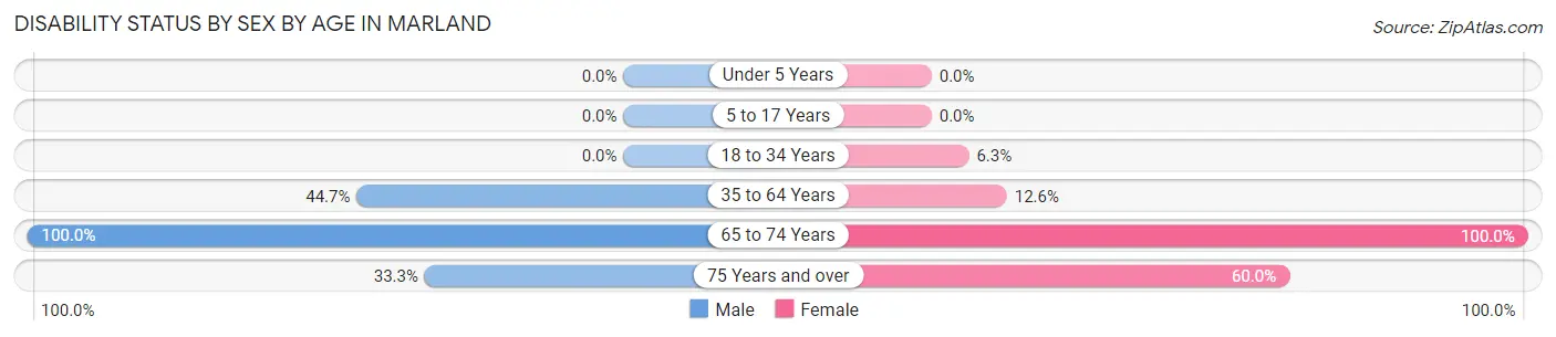 Disability Status by Sex by Age in Marland