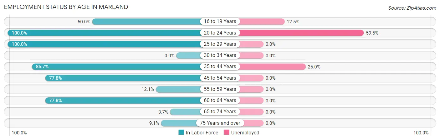 Employment Status by Age in Marland