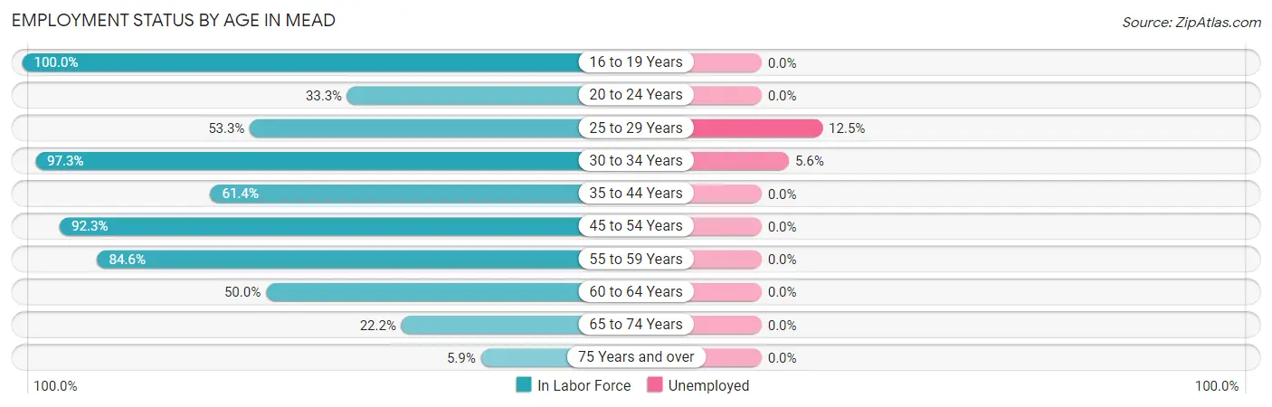 Employment Status by Age in Mead