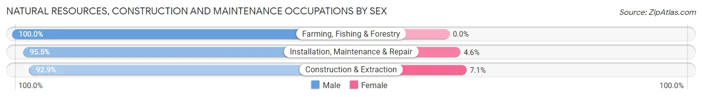 Natural Resources, Construction and Maintenance Occupations by Sex in Minco