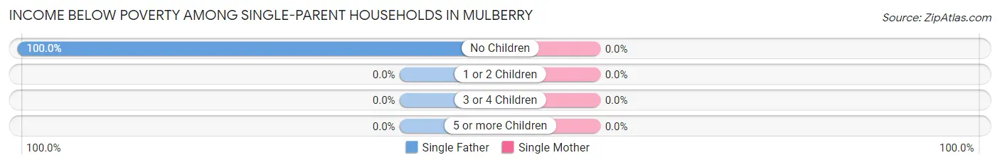 Income Below Poverty Among Single-Parent Households in Mulberry