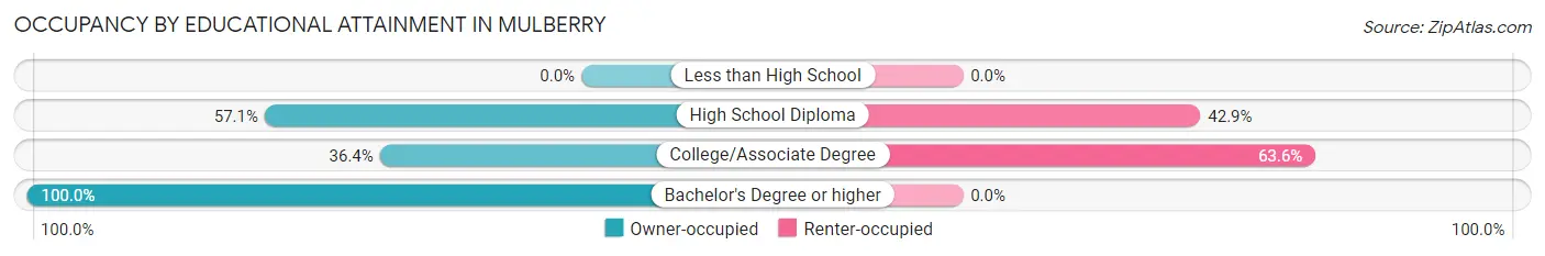 Occupancy by Educational Attainment in Mulberry