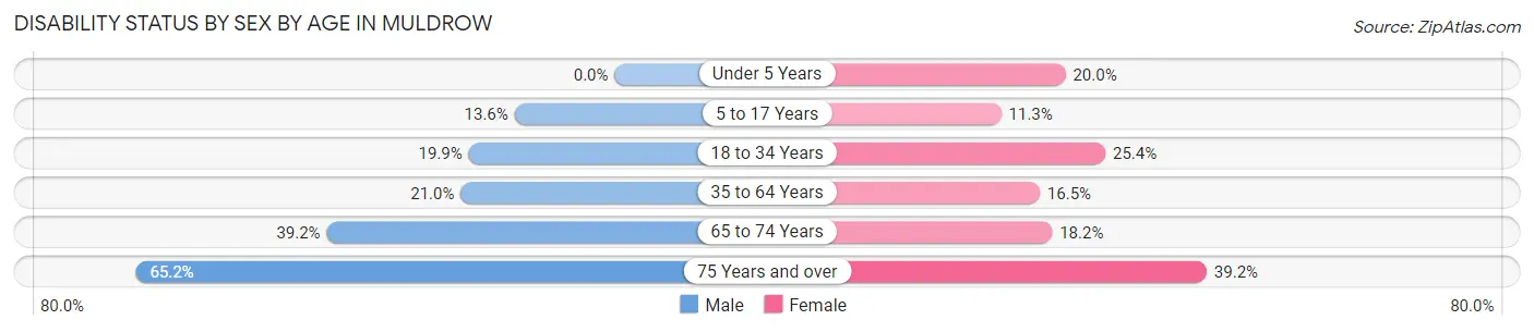 Disability Status by Sex by Age in Muldrow