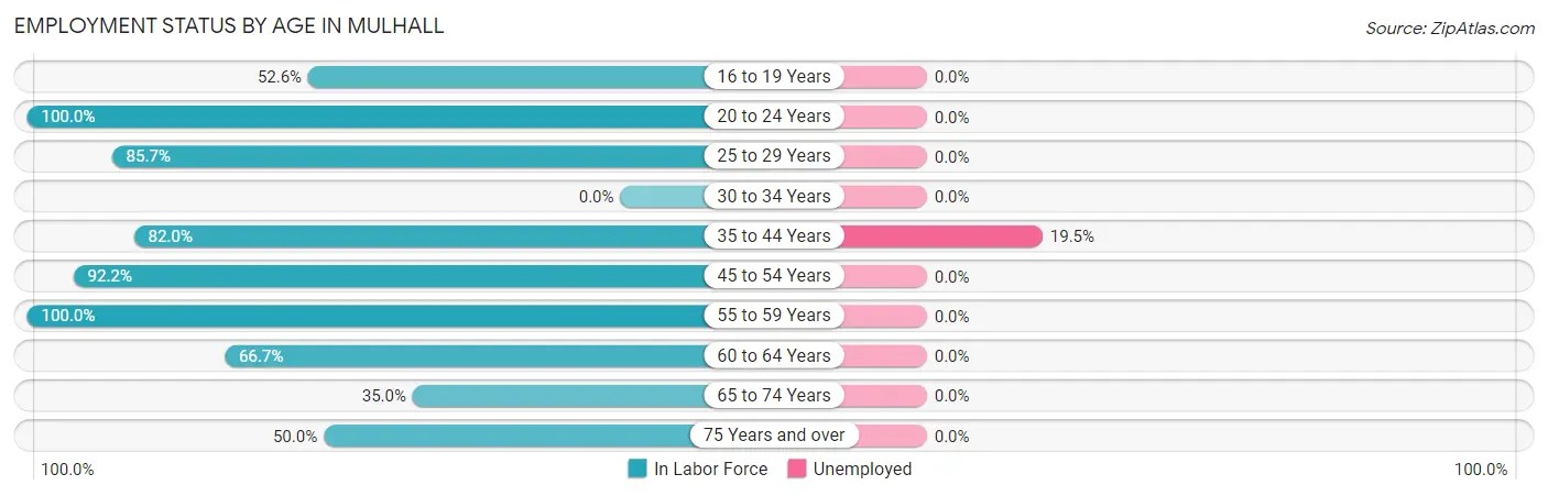 Employment Status by Age in Mulhall