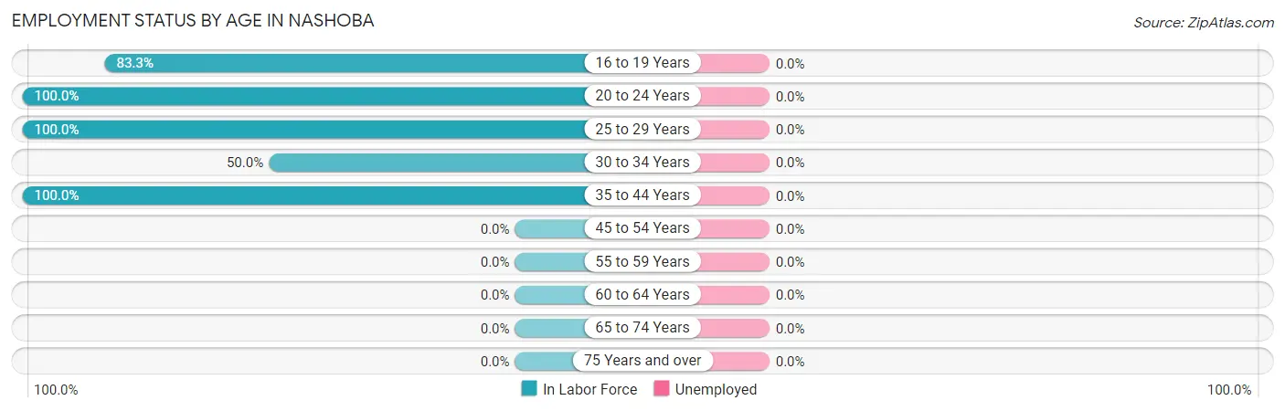 Employment Status by Age in Nashoba