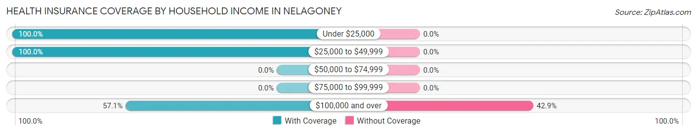 Health Insurance Coverage by Household Income in Nelagoney