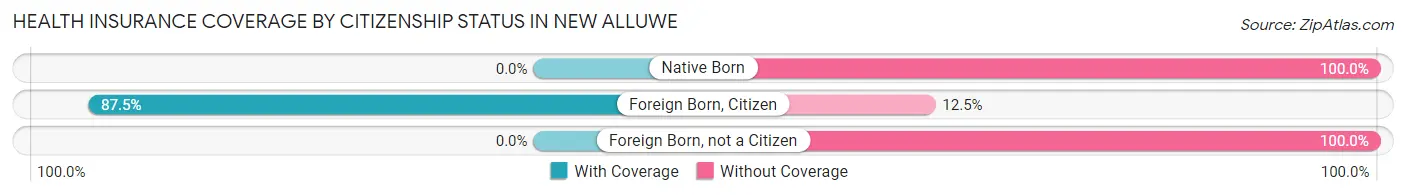 Health Insurance Coverage by Citizenship Status in New Alluwe