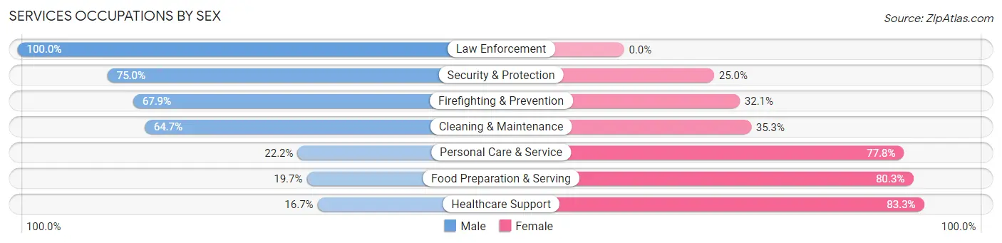 Services Occupations by Sex in Newkirk