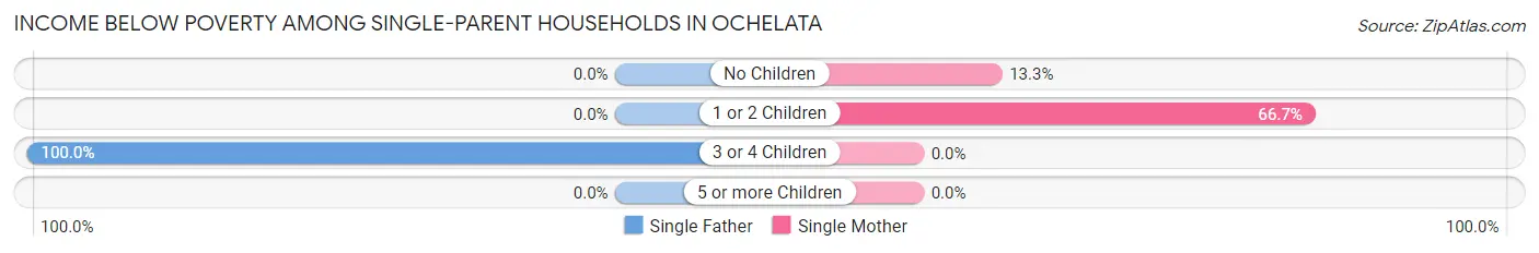 Income Below Poverty Among Single-Parent Households in Ochelata