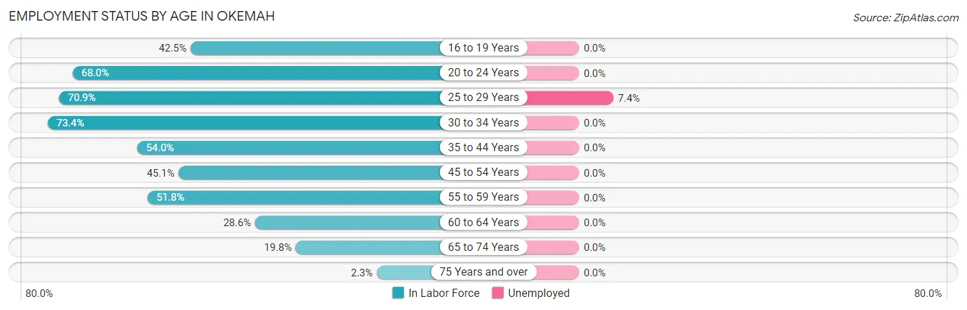 Employment Status by Age in Okemah