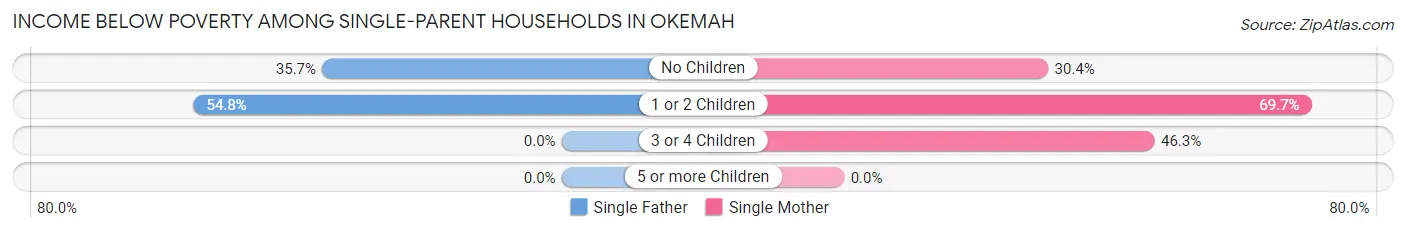 Income Below Poverty Among Single-Parent Households in Okemah