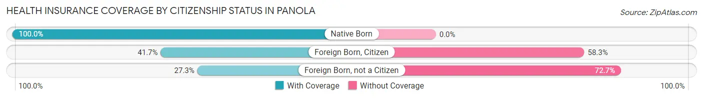 Health Insurance Coverage by Citizenship Status in Panola