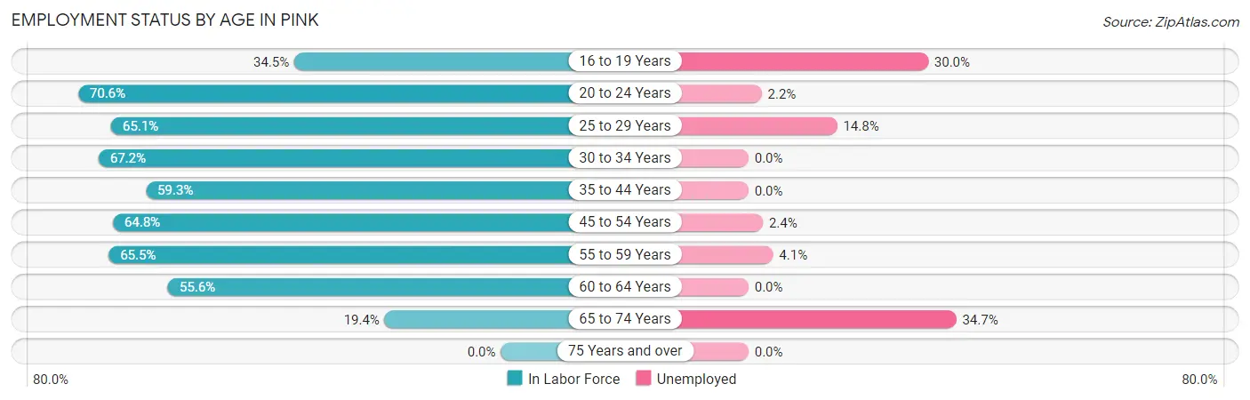 Employment Status by Age in Pink