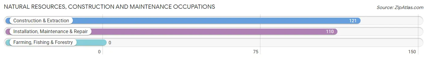 Natural Resources, Construction and Maintenance Occupations in Pink