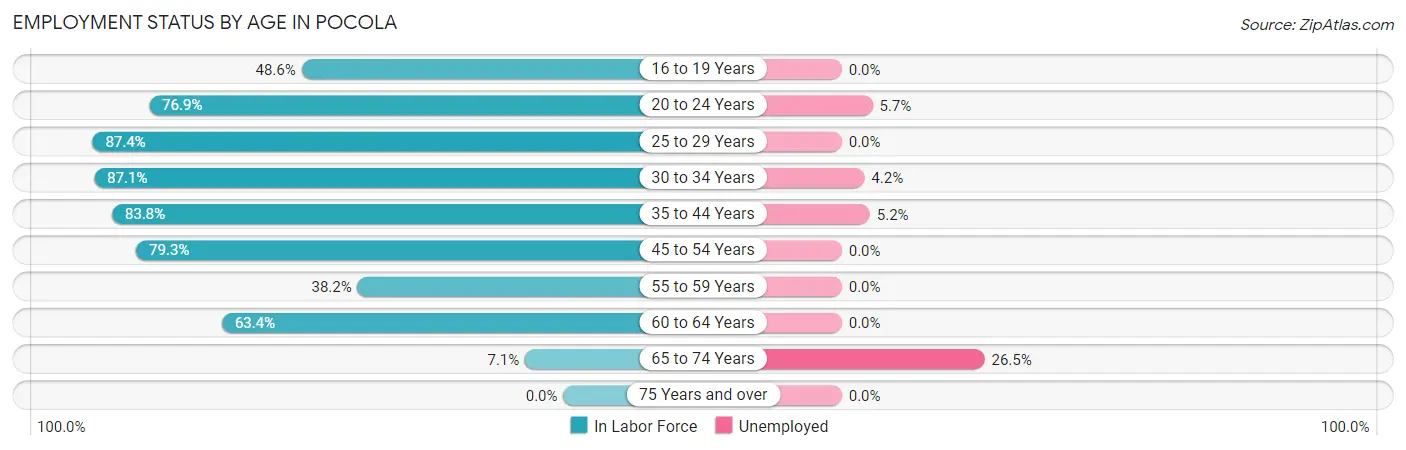 Employment Status by Age in Pocola