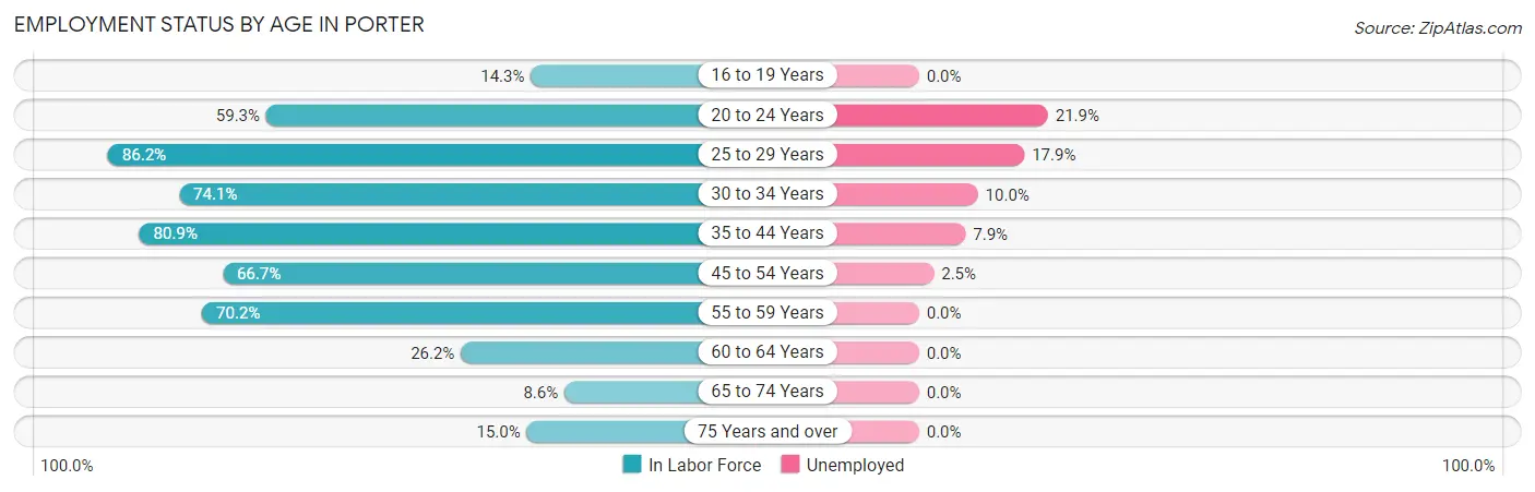 Employment Status by Age in Porter