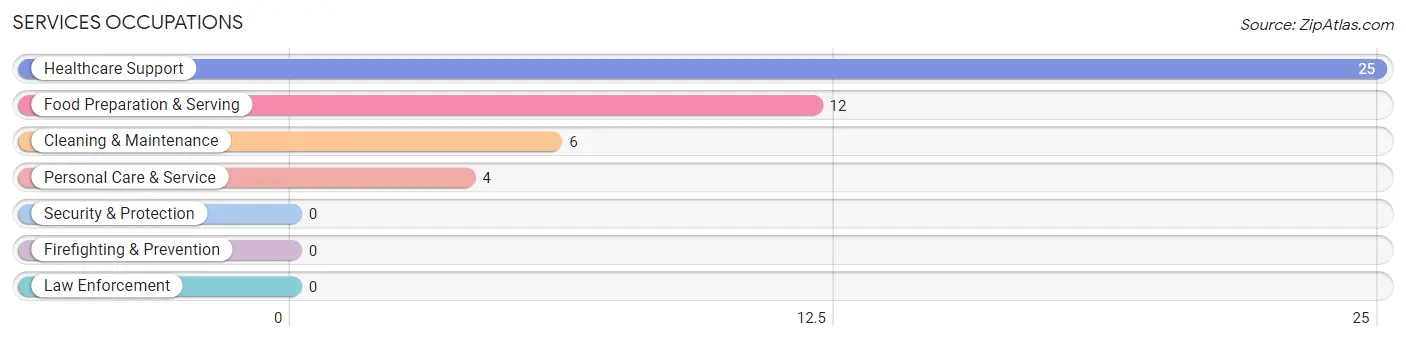 Services Occupations in Porum