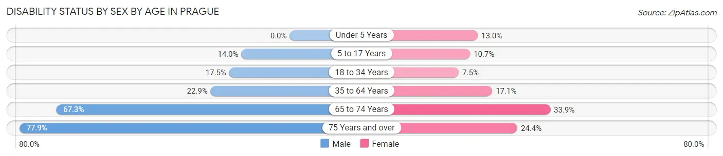 Disability Status by Sex by Age in Prague