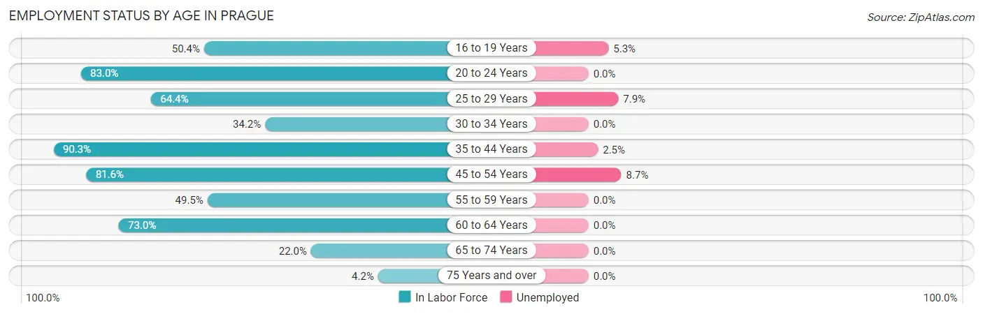 Employment Status by Age in Prague