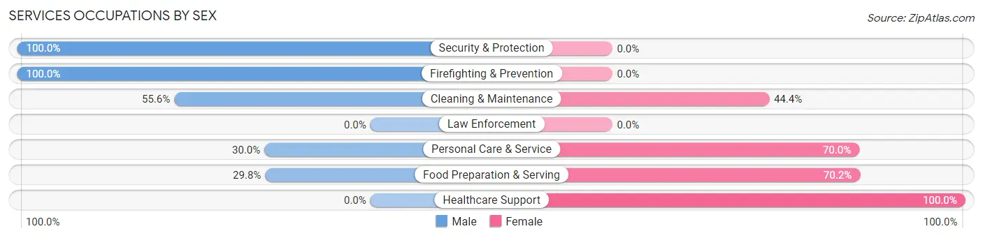 Services Occupations by Sex in Prague
