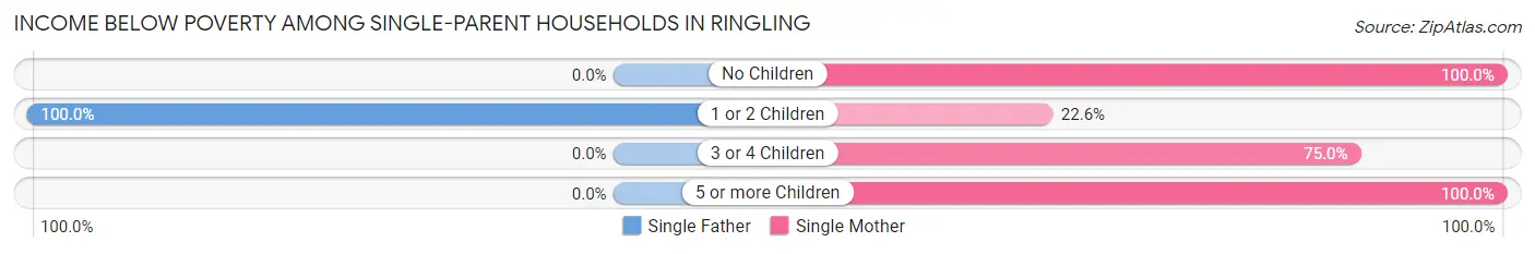 Income Below Poverty Among Single-Parent Households in Ringling
