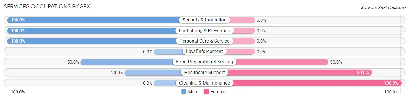 Services Occupations by Sex in Rock Island
