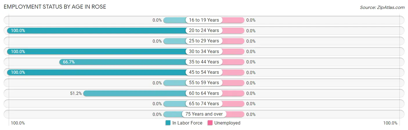 Employment Status by Age in Rose