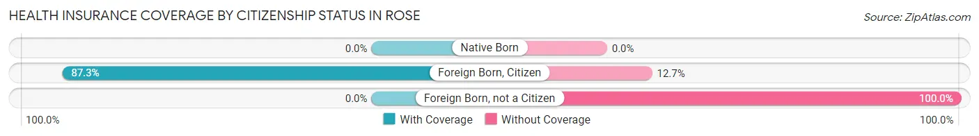 Health Insurance Coverage by Citizenship Status in Rose